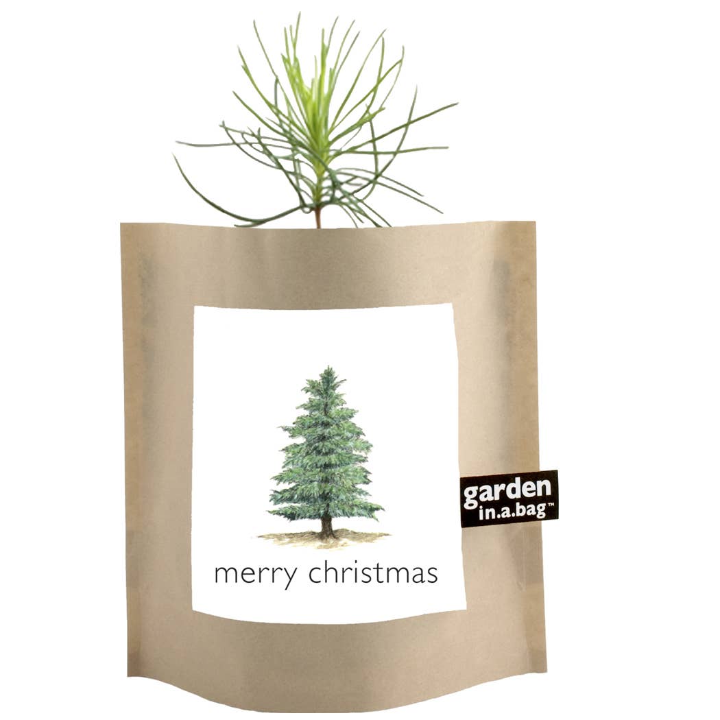 Garden in a Bag | Christmas Tree | Best Seller