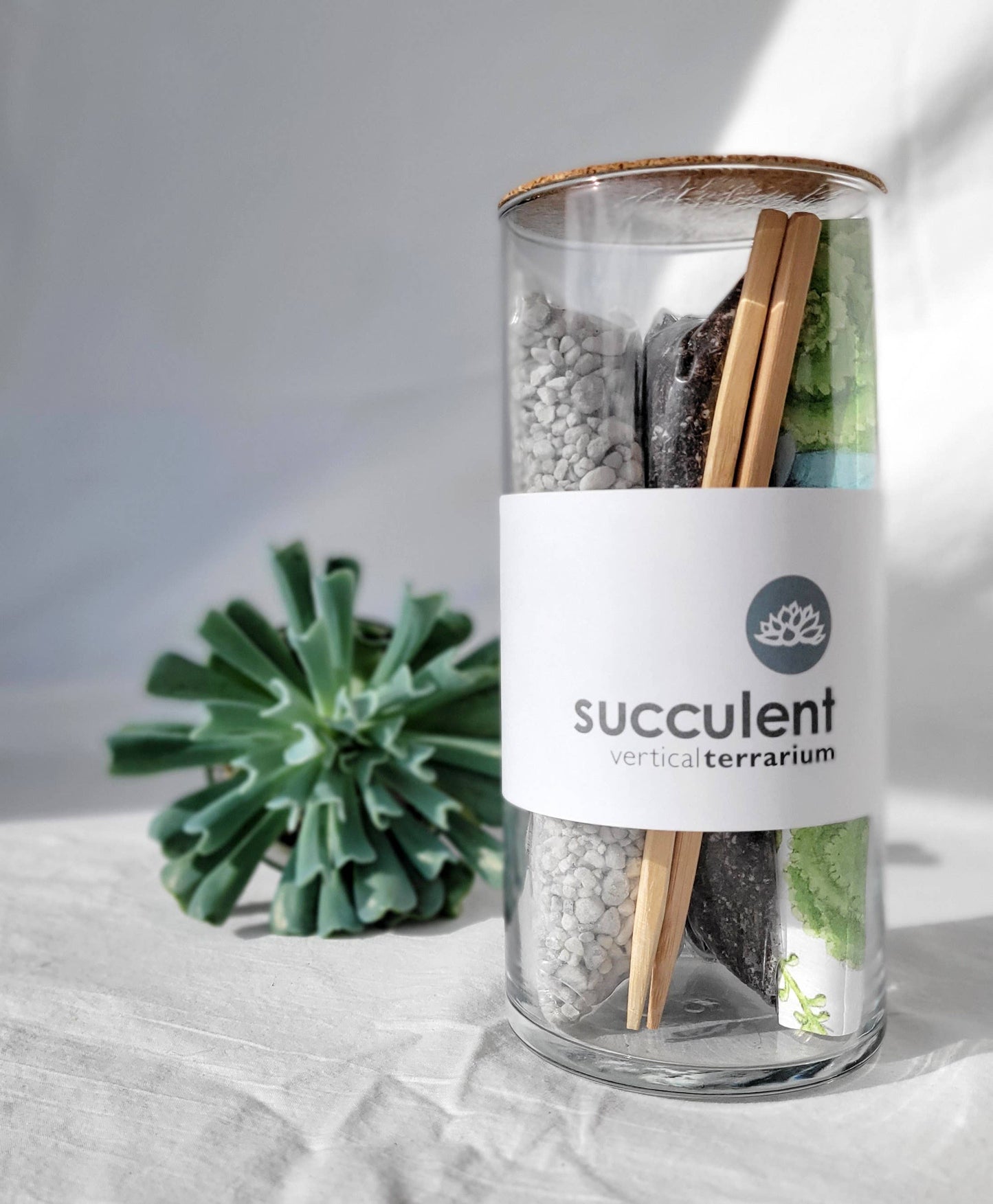 Succulent Terrarium | Fall & Christmas Gift idea